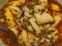 -峨嵋一派