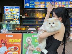 -陈鹏鹏潮汕菜(欢乐海岸 海边景观店)