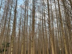 -上海怡沁园度假酒店
