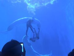 -多彩贵州城极地海洋世界