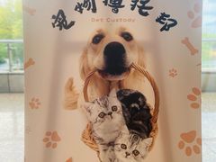 -上海佘山茂御臻品之选酒店(原佘山艾美酒店)