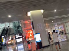 -石家庄正定国际机场-T2航站楼