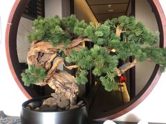 -福阳·足道养生会所(远大路店)