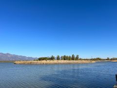 -野鸭湖国家湿地公园