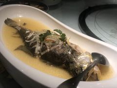 -席家花园(巨鹿花园店)