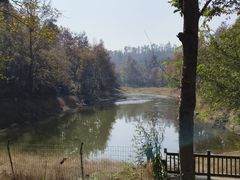 -青龙山国家森林公园