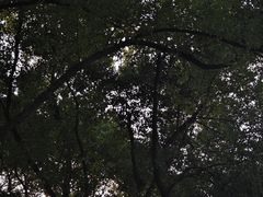 -堤角公园