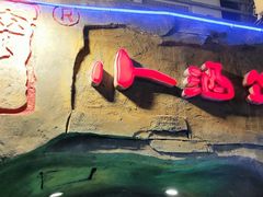 门面-醉小酒馆·川菜·江湖菜·重庆菜(观音桥旗舰店)