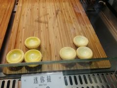 -芳叔(动漫星城店)