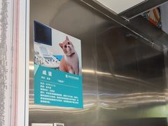 -伟伟宠物医院·CT影像中心·瑞派犬猫综合性门诊(汉口总院)