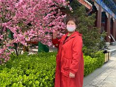 -天津妈祖文化园