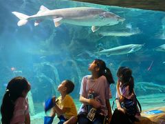 -华夏文旅海洋公园