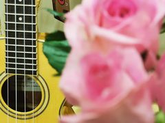 -WithU悠弦时光·尤克里里之家ukulele(宽窄巷子店)