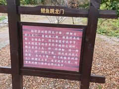 -太湖游船(石公山码头)