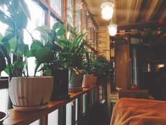 -Cafe Alice咖啡爱丽丝(奥城店)