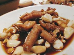 -鸽子窝(青塔店)