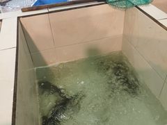 -贡椒鱼老店·雅安十大名店