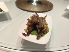 -瑞福园联谊餐室(茂名南路店)