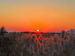 -野鸭湖国家湿地公园