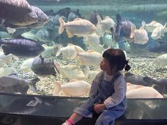 -成都浩海立方海洋公园