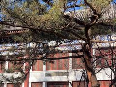 -北京大学赛克勒考古与艺术博物馆