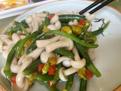 乳瓜白玉菇-砂锅居(西四店)