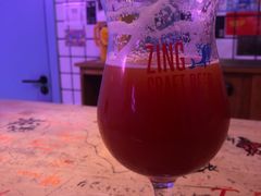 -ZING鲸鱼啤酒(葡萄院店)