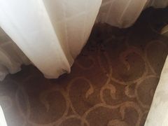 -天津津利华酒店