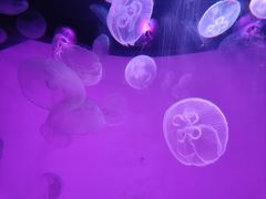 -沈阳海洋探索中心