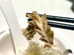 -新蜀会四川豆花(五羊店)