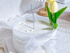-今日·TODAY手作低脂动物奶油蛋糕定制(高新万达店)