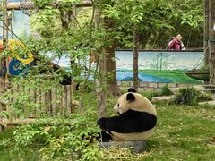 -上海野生动物园