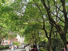 -上海交通大学医学院附属瑞金医院(总院)