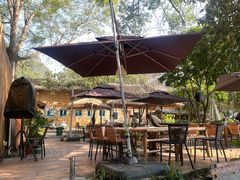 -遇龙河大樟树农家乐