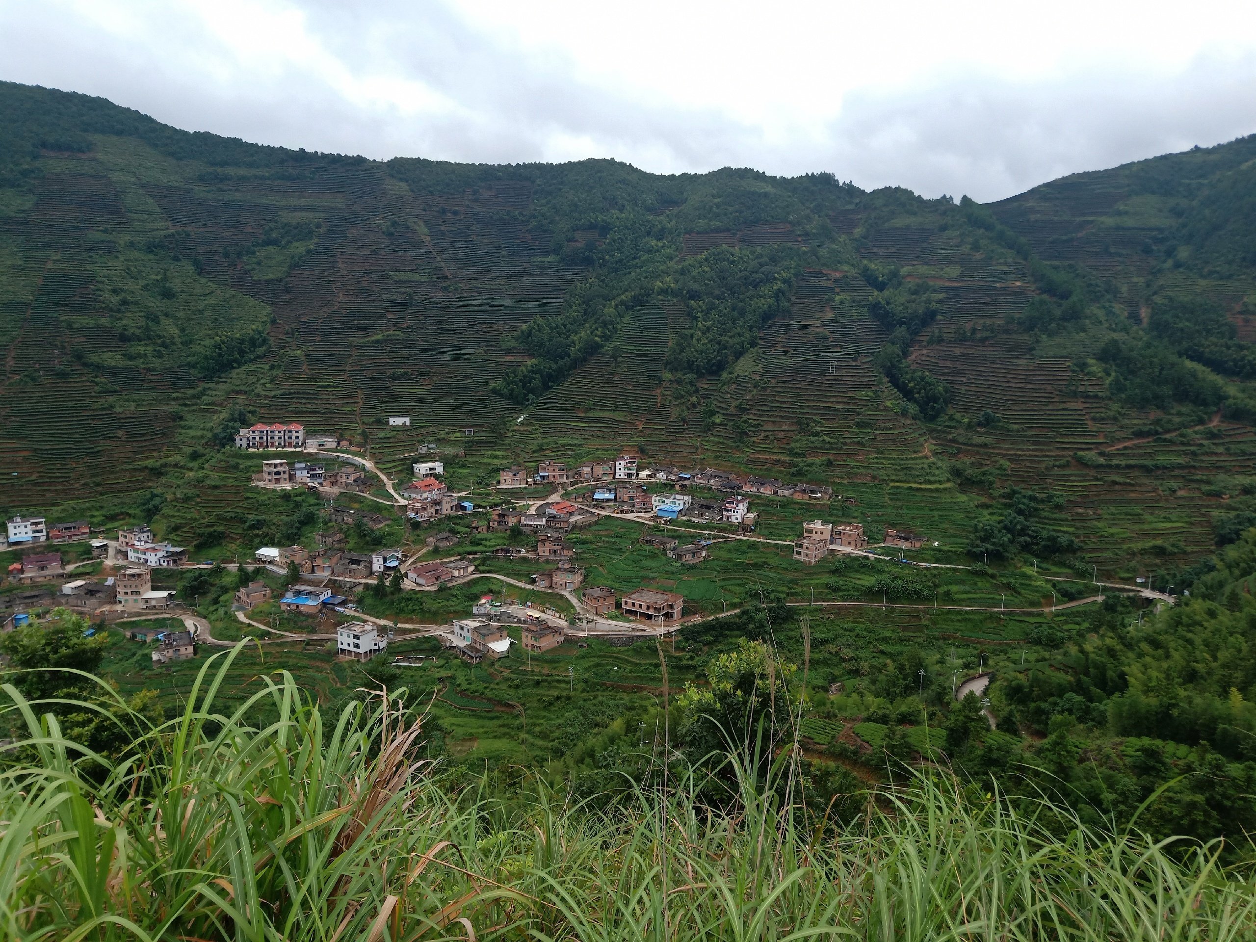 厦门西坑村简介图片