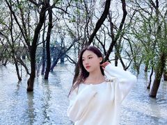 -宝安西湾红树林湿地公园