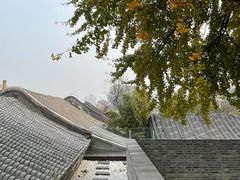-自如ZSPACE四合院艺术餐厅