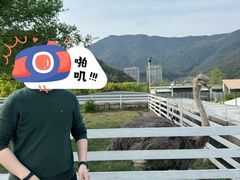 -宁波九龙湖开元度假村
