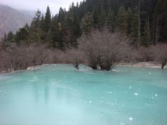 -黄龙山原始森林景区