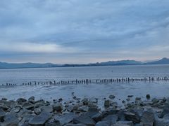 -深圳湾公园(南山区)