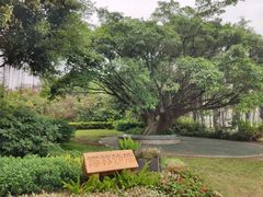 -深圳湾公园(南山区)