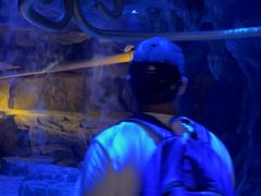 -西安电影制片厂