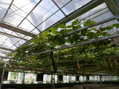 -兰陵国家农业公园