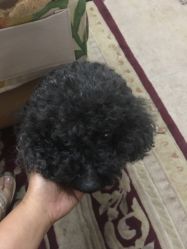 -杉惠素颜美妆皮肤管理中心