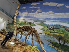 -自贡恐龙博物馆