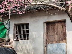 -会稽山峡洞漂流-上青古道