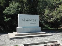 -白水寺森林公园
