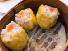 -食为先(Shark Fin)