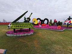 -荷兰花海