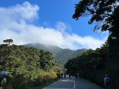 -梧桐山风景名胜区